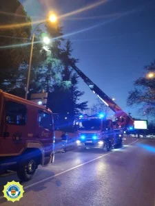 El Grupo Popular reclama un plan urgente para paliar la proliferación de cotorras