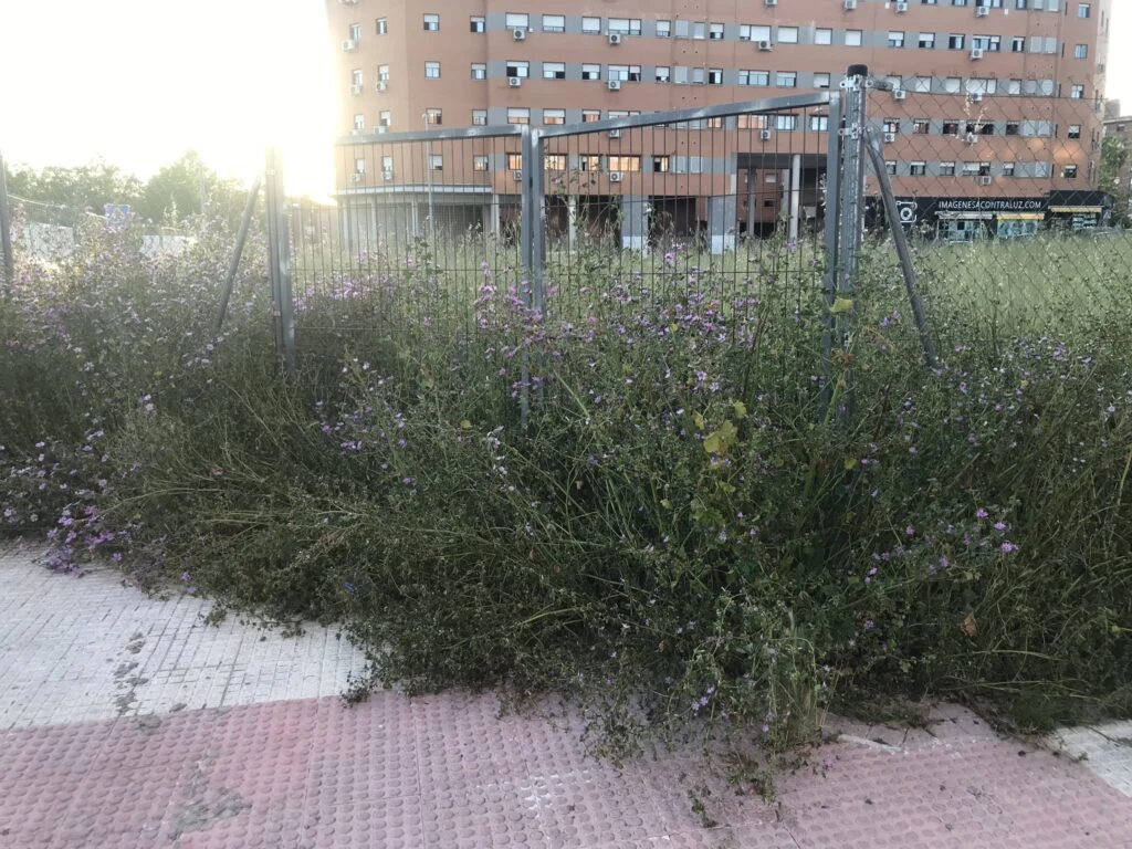 Alcorcón está sucio y abandonado