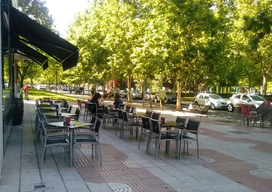 El Partido Popular presenta un plan para la hostelería en la salida de la crisis