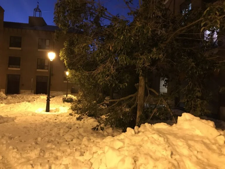 VÍDEOS ACREDITAN QUE LA ALCALDESA DE ALCORCÓN SÓLO ESTUVO 20 MINUTOS EN EL  CUS DURANTE “FILOMENA”