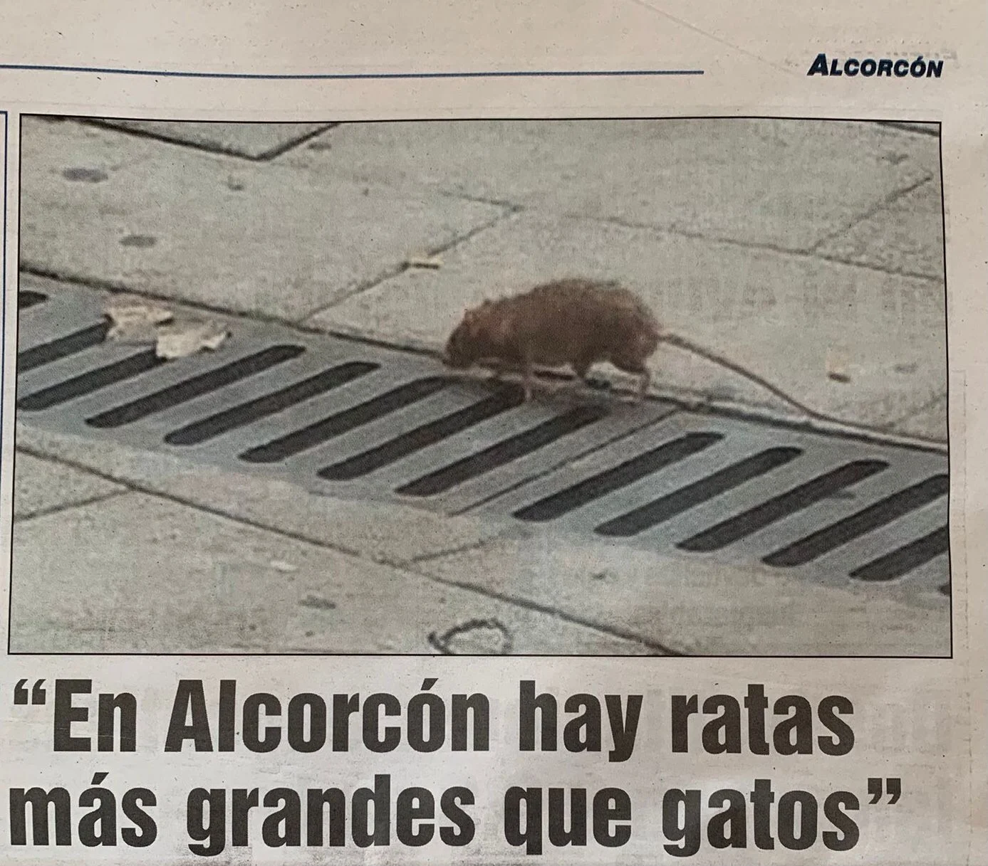 Las ratas toman Alcorcón