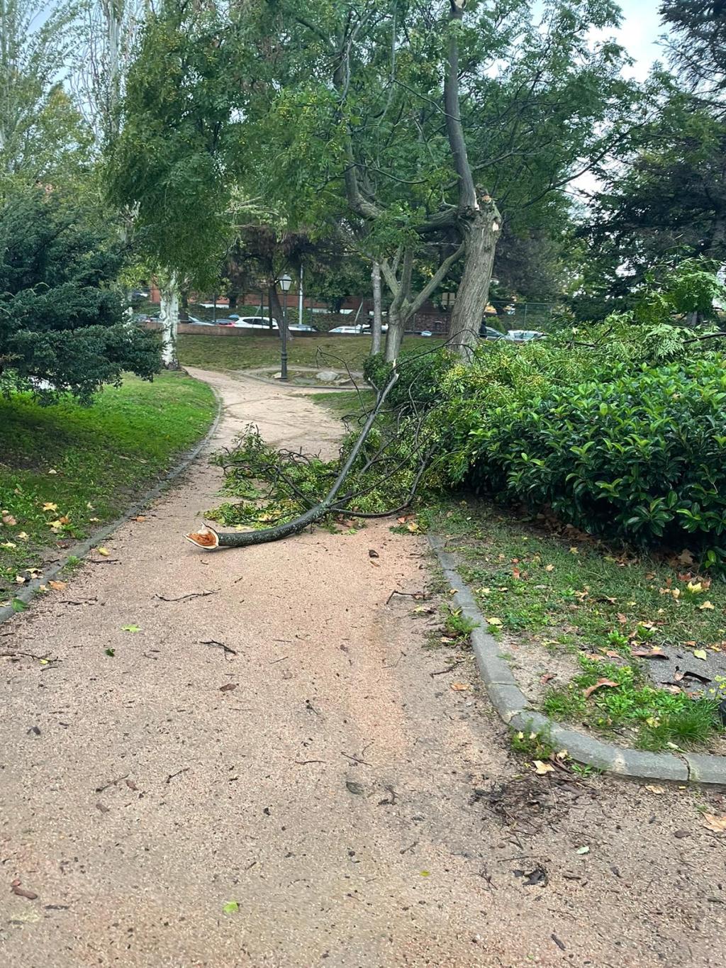 El Partido Popular de Alcorcón insta al Ayuntamiento a cerrar los parques públicos ante el aviso amarillo por&nbsp;viento