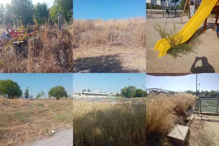 EL PARTIDO POPULAR DE ALCORCÓN DENUNCIA LA TOTAL AUSENCIA DE MANTENIMIENTO DE LOS PARQUES Y JARDINES DEL MUNICIPIO
