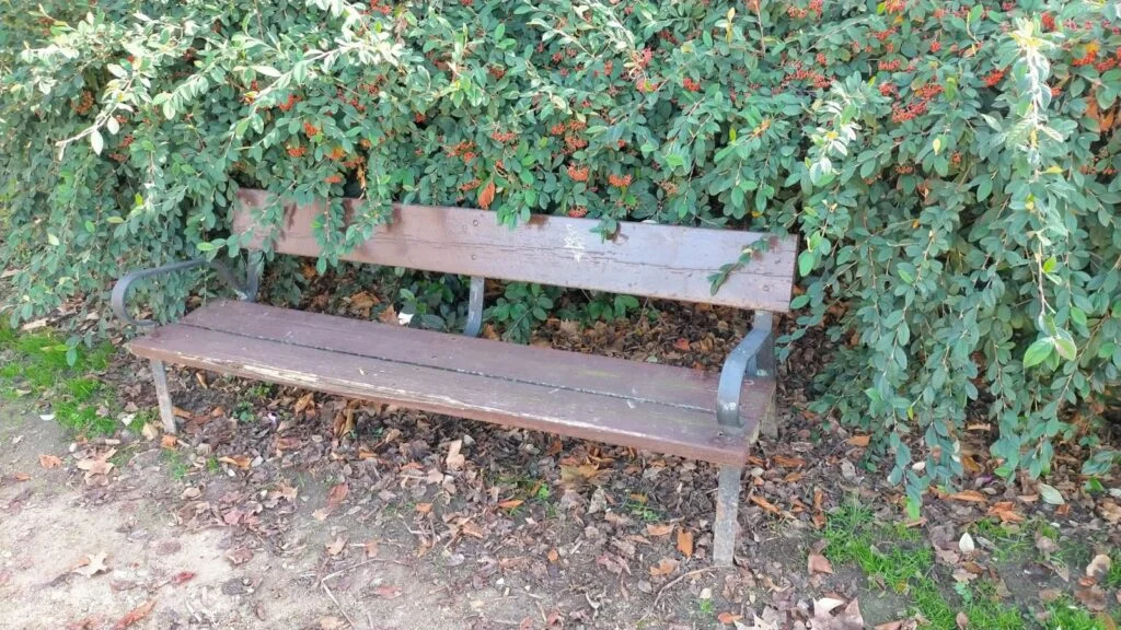 Un plan integral para rescatar el Parque de La Ribota, la propuesta del PP de Alcorcón