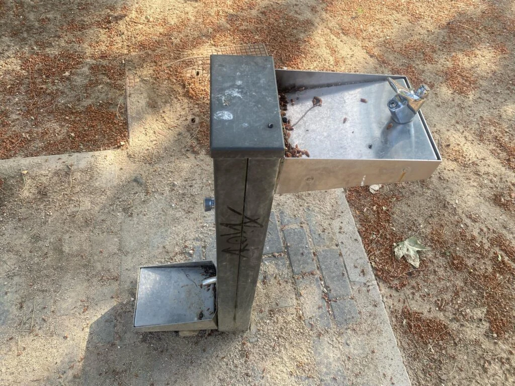 El Partido Popular de Alcorcón propone reactivar las fuentes públicas e instalar adaptaciones para animales domésticos