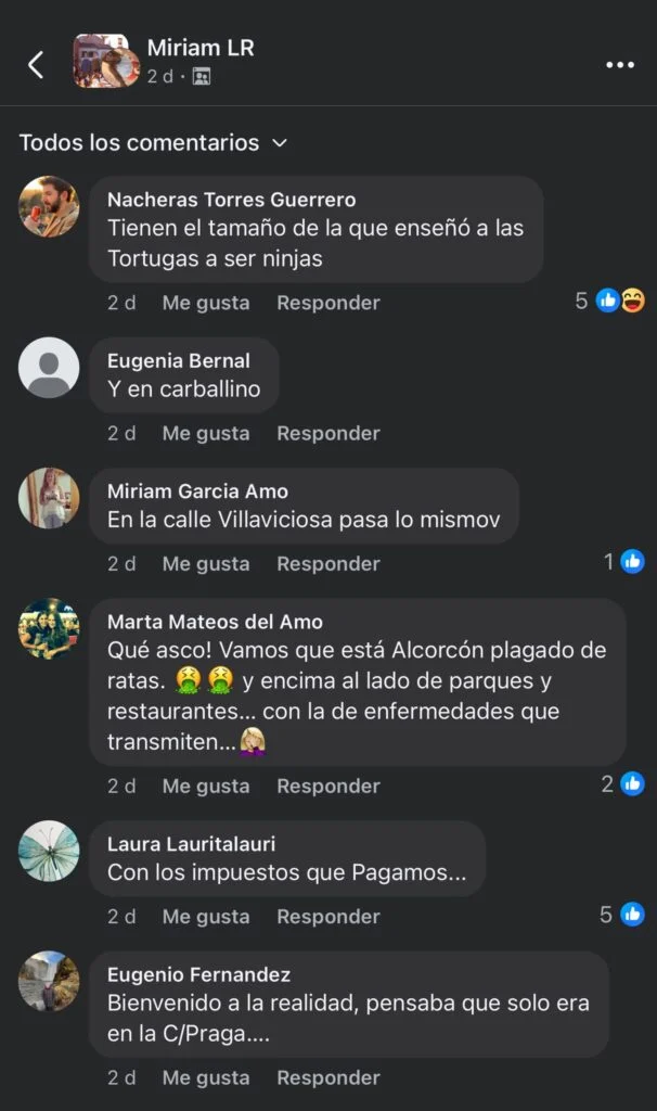 El Partido Popular de Alcorcón llevará al pleno las quejas vecinales por la plaga de ratas en la ciudad