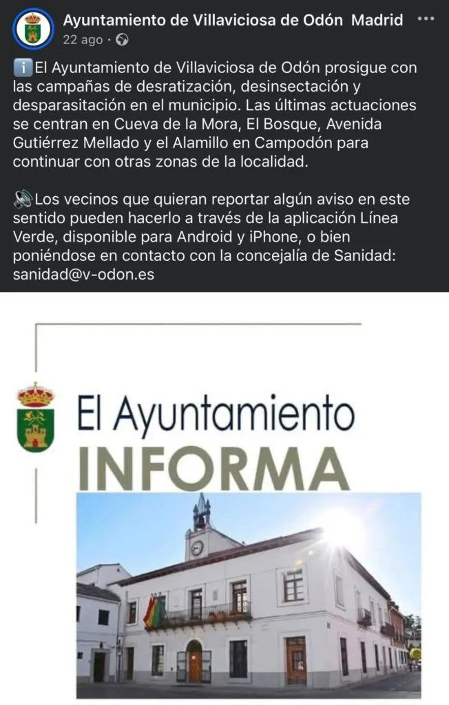 El Partido Popular de Alcorcón llevará al pleno las quejas vecinales por la plaga de ratas en la ciudad