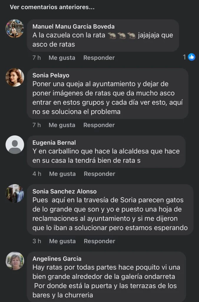El Partido Popular de Alcorcón llevará al pleno las quejas vecinales por la plaga de ratas en la ciudad